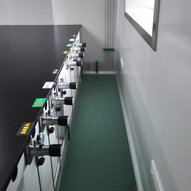 通用生物(wù)系統(安徽)有限(xian)公司實驗室集(ji)中供氣工程