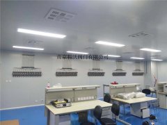 濰坊臨(lin)朐公安局化驗(yan)室供氣管道工(gong)程案例